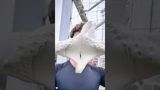 Why do goalkeeper&rsquo;s gloves get stuck？#youtube #knowledge #us #amazing #friendship