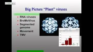 Vir_S16_Lecture10