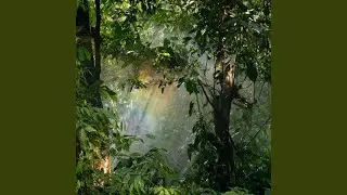 Over the Rainbow