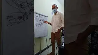 Azua y sus desafios. Equipo CEFISA-FRUTAS CONENERGIAS Y COPRODA.
