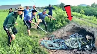 10 Brave Hunters Surround The Nest Of 100 Ferocious Dragon Snakes