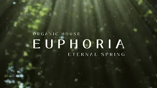 Organic House Mix &middot; EUPHORIA &copy; 2024