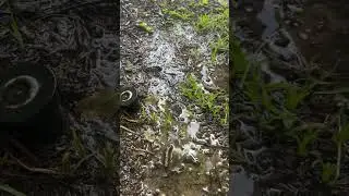 Sprinkler Still Leaking After Shut Off? This Hidden Problem Wastes Hundreds of Gallons!