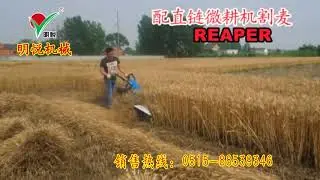 019 mini tiller mounted reaper harvesting wheat China Yancheng Mingyue whatsapp +8618262494472