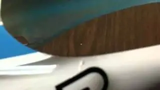 Canomod Canopy Crack