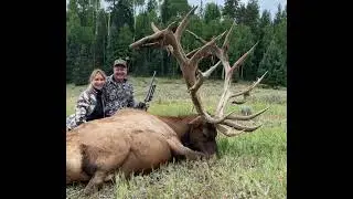 World record elk