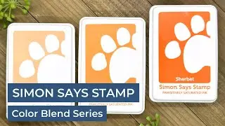 Simon Says Stamp Pawsitively Saturated Ink Color Blend Series