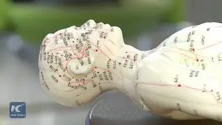 Acupuncture education goes mainstream in British Columbia, Canada