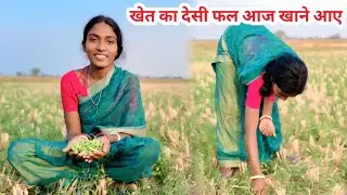 गांव का देसी मीठा फल खेत का खाने आए#ajayanjuvlogs 