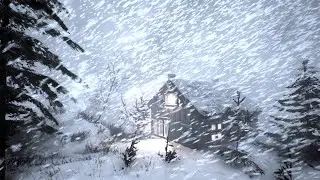 RELENTLESS SNOW APOCALYPSE: BRUTAL BLIZZARD SOUNDS and WINTER STORM SLEEP AMBIENCE