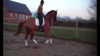 Stald Bjerremose  - Wild West