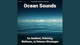 Ocean Sounds to Relax - Pt. 16