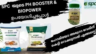SPC pH 🍀Booster 🌿ന്റെ ഏറ്റവും വലിയ പ്രത്യേകത, എപ്പോഴാണോ മണ്ണിന്റെ അമ്ലത്വം കൂടുന്നത് #farming