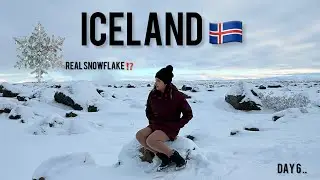❄️Snowflake Emoji is Real 😍🤯Campsite Rules⁉️ Day 6 ICELAND 🇮🇸 #iceland #tamil #travelcouple
