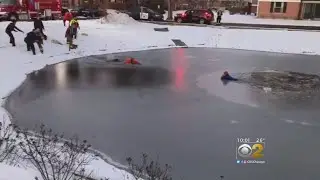 Naperville First Responders Jump Into Action To Save Boy From Icy Water