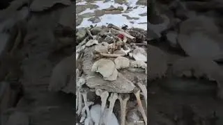 #Roopkund Trek  #roopkundtrek #roopkaurcelebritymua  #mountains #trekking #trek #india #snow #skull