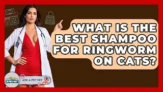 What Is The Best Shampoo For Ringworm On Cats? - Ask A Pet Vet