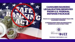 Cannabis Banking Legalization Removed From U.S. Federal Defense Package
