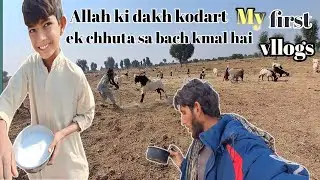 kirthar national park documentary 2024