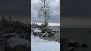Would you like to swim there?) Siberia.
