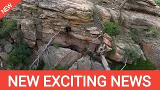 😰Fans Claustrophobia Is Triggered by the Premiere of the Fifth Season of Mystery at Blind Frog Ranch