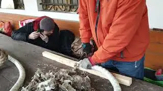 Эталонный нож ШХ15. Заточка. Рез каната