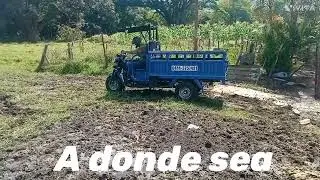 Bera carguero 200, Moto carga M&eacute;rida