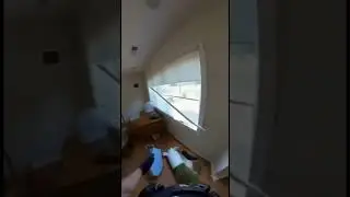 Deer gone wild 🤪 #subscribe #viral #trending #funny #like
