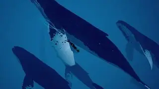 Abzu  - Big Fish [1080p 60FPS]