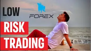 Low Risk Forex Robot Trading #devtube
