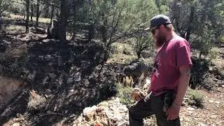 Declaration Drill Target - Gold Springs Project on the Nevada Utah Border