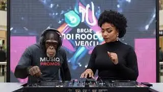 LAIP - The Gates Are Open | Musiq Promos | Deep House