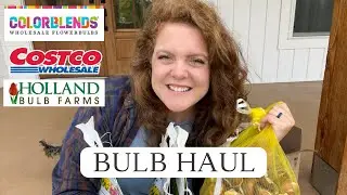 Fall Bulb Haul | Costco & Color Blends