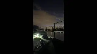 Live SALMON Fishing! #chicago #trout  #fishing #angler #livestream #livefeed #youtube #new #cool