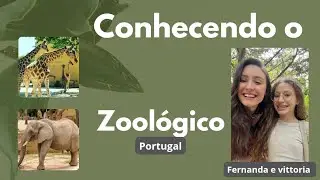 Tour Completo pelo Zoológico Mais Famoso de Portugal!/ Você Vai se Encantar.