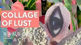 Stop motion collage explores female desire | Euphorbia by Jessica Wheeler | Short | Random Acts
