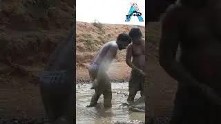 very easy fishing on mud water #fishingvideo #mudwaterfishing #fish #boatfishing #shorts @KadalTv