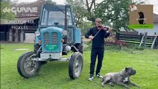 de Gunne ft Djorde - Song for Mr. Pickles