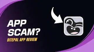BitePal App Review &mdash; Legit Rewards App or Scam