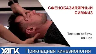Мануальная терапия шеи. Михаил Савиных