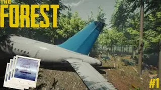 Nos estrellamos en un isla con caníbales y encontramos el yate!  | The Forest #1