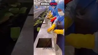 Others Fastest Workers vs The Last One ☠️