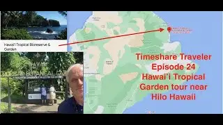 Timeshare Traveler Episode 24 Hawaii Tropical Garden tour near Hilo Hawaii