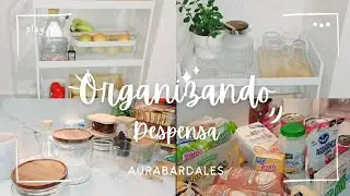 Organizando despensa, Organizando mi alacena, pantry organization #despensa # #organizacion