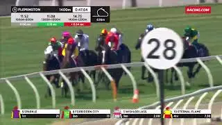 REVOLUTIONARY MISS (AUS) - 2024 Frances Tressady Stakes (3YO+ G3 FM) Group 3 Flemington 17 February