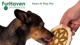 Paws N' Play Pie Slow Feeder Dog Toy Apple Pie Recipe - Furhaven Pet Products