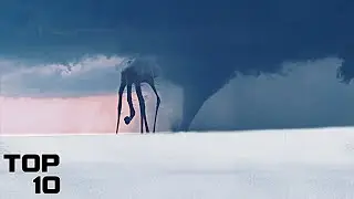 Top 10 Bizarre Creatures Found In Antarctica