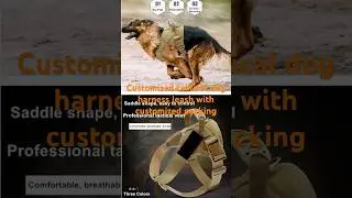 Custom Tactical Dog Harness&Leash|Boost Brand  
