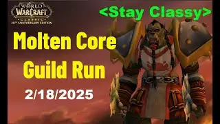 Raid Log MC Guild Run Warrior PoV #wowclassic