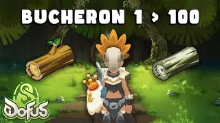 Comment j'ai mont&eacute; BUCHERON Level 100 : Dofus 3.0